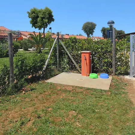 Apartment In Vada Near Restaurants La Cinquantina