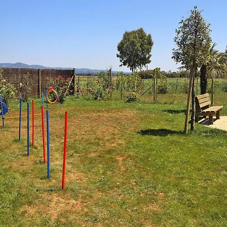Apartment In Vada Near Restaurants La Cinquantina